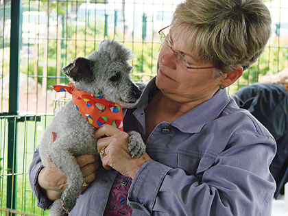 HSSV Celebrates Small Breed Dogs HSSV Celebrates Small Breed Dogs