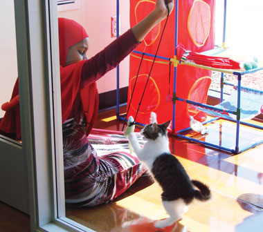 SVACA Helps Combat Overpopulation by Holding Annual Adoptathon SVACA Helps Combat Overpopulation by Holding Annual Adoptathon