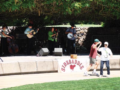Concert in the Park Series Concert in the Park Series