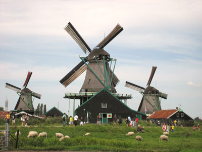 Going Dutch Going Dutch