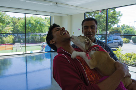 HSSV, SVACA Find Homes For 58 Animals HSSV, SVACA Find Homes For 58 Animals