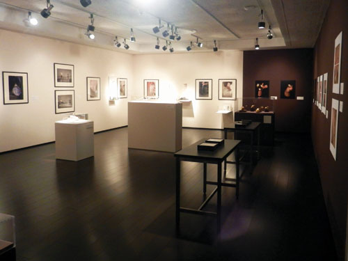 deSaisset Museum Modifies Art deSaisset Museum Modifies Art