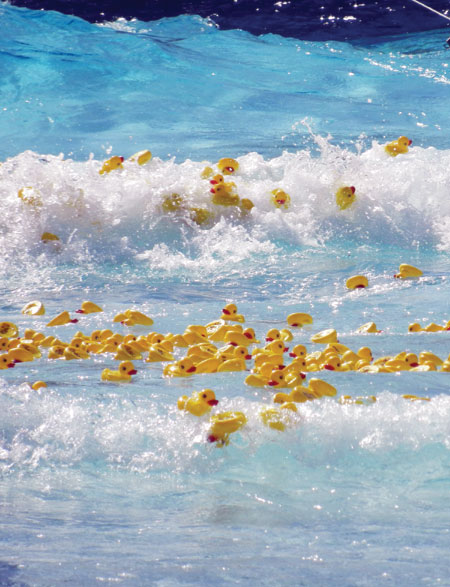 Ducky Derby Ducky Derby