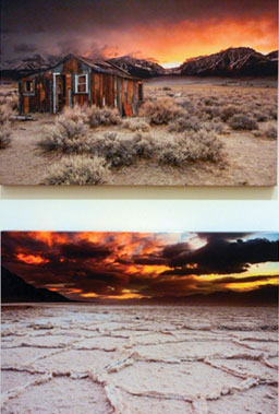Best of the Best in Photographs Best of the Best in Photographs