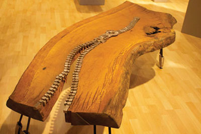 Pairs Present Pieces at Vargas Pairs Present Pieces at Vargas
