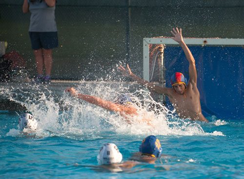 Wilcox Water Polo Bests Bruins Wilcox Water Polo Bests Bruins