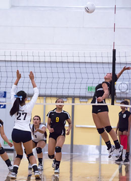 Lady Chargers Open Season with Loss at Home Lady Chargers Open Season with Loss at Home