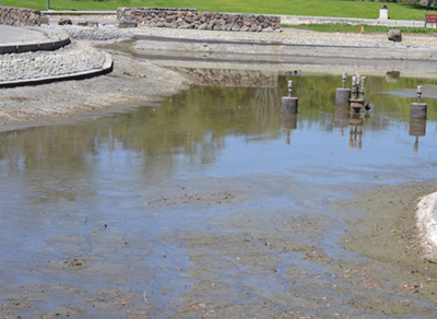 Central Park Ponds Getting a Facelift Central Park Ponds Getting a Facelift