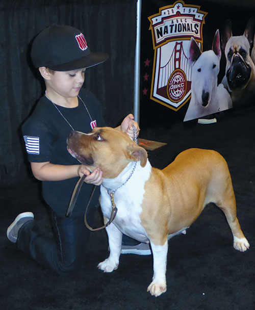 Have You Ever Seen a Big Bully? Have You Ever Seen a Big Bully?