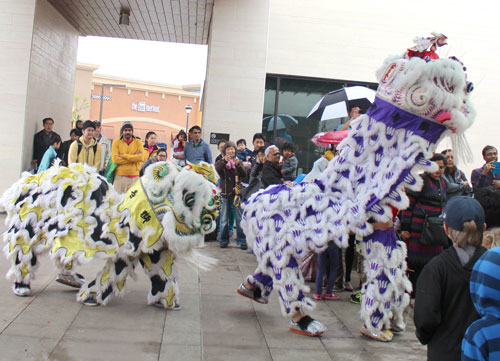 Northside Library Drums in Lunar New Year Northside Library Drums in Lunar New Year