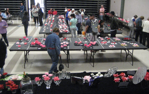 Prima Donnas of the 74th Annual Camellia Show Prima Donnas of the 74th Annual Camellia Show