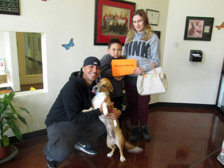 Thanks to Maddie's Fund, SVACA Nearly Empty Thanks to Maddie's Fund, SVACA Nearly Empty