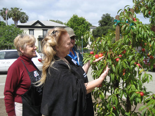 Harris-Lass House Museum Celebrates 150th Birthday with Dedication of Restored Heritage Orchard Harris-Lass House Museum Celebrates 150th Birthday with Dedication of Restored Heritage Orchard