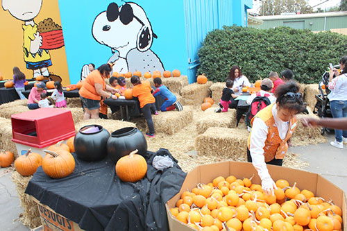 Great America's Great Pumpkin Fest Offers Non-Scary Delights Great America's Great Pumpkin Fest Offers Non-Scary Delights