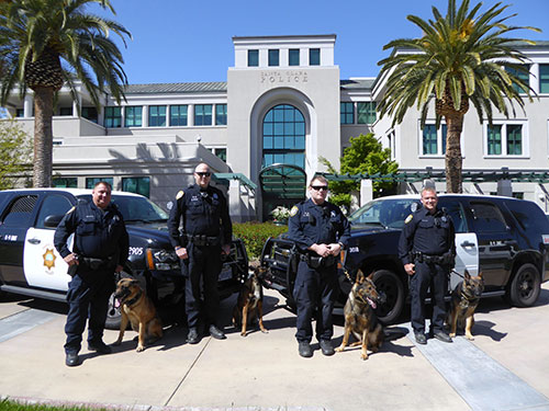 Game's On As Police K9s Sniff Out Crime Game's On As Police K9s Sniff Out Crime
