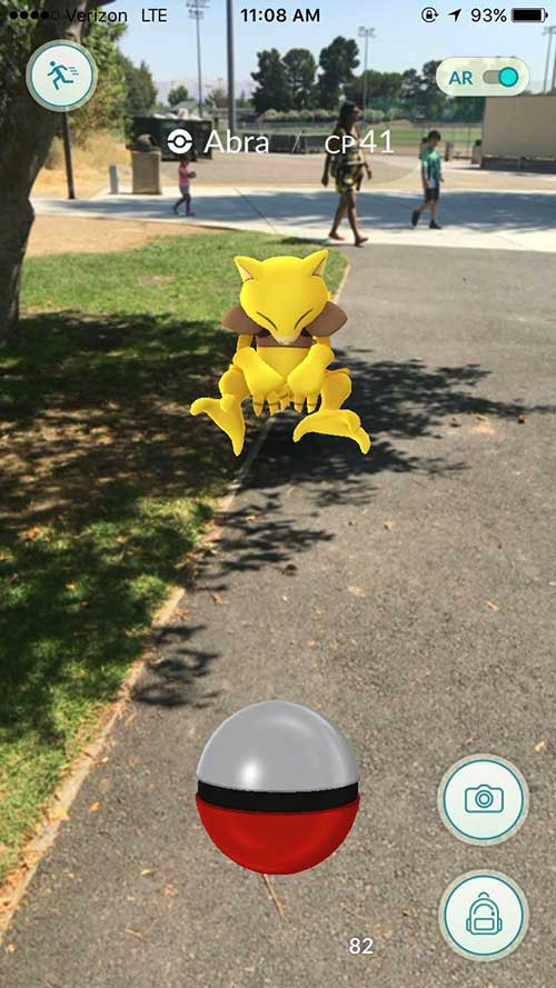 Gotta' Catch Them All