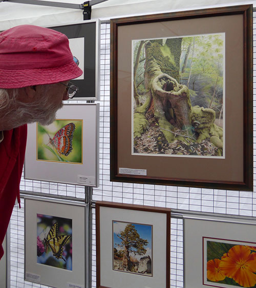 Silicon Valley Open Studios Puts Local Artists on the Map Silicon Valley Open Studios Puts Local Artists on the Map