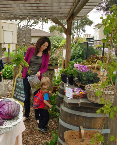SCU Educates Community While Improving Access to Fresh Produce SCU Educates Community While Improving Access to Fresh Produce