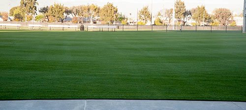 Soccer Field Restoration Soccer Field Restoration