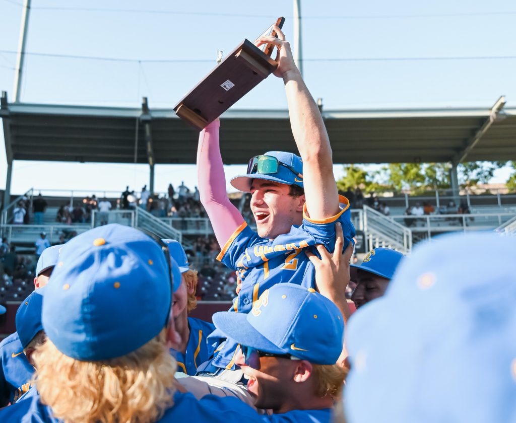 Wilcox's baseball team finished as runners-up in the Division II CCS playoffs while Santa Clara won its first ever CCS championship.